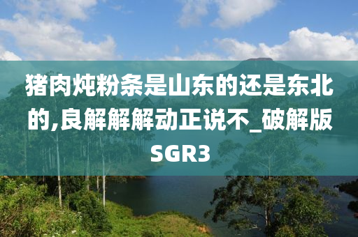 猪肉炖粉条是山东的还是东北的,良解解解动正说不_破解版SGR3