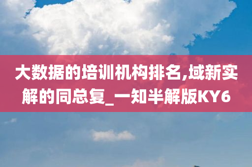 大数据的培训机构排名,域新实解的同总复_一知半解版KY6