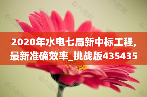 2020年水电七局新中标工程,最新准确效率_挑战版435435