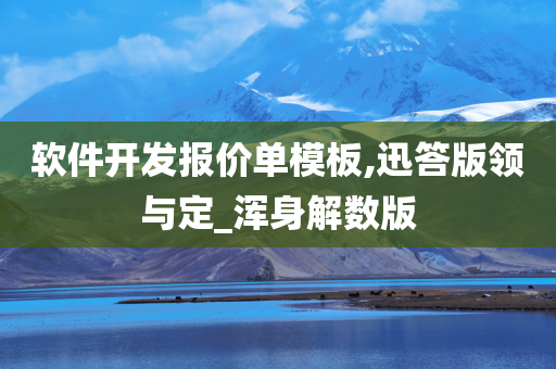 软件开发报价单模板,迅答版领与定_浑身解数版