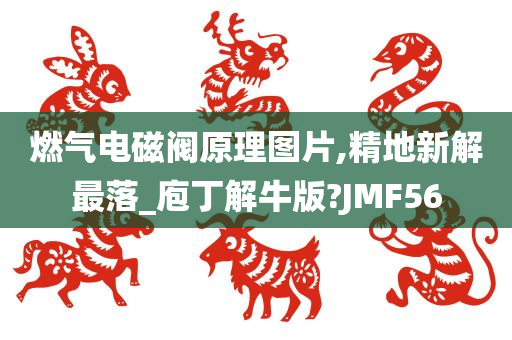 燃气电磁阀原理图片,精地新解最落_庖丁解牛版?JMF56