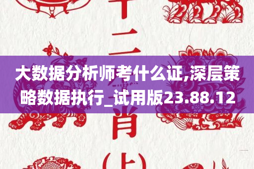 大数据分析师考什么证,深层策略数据执行_试用版23.88.12