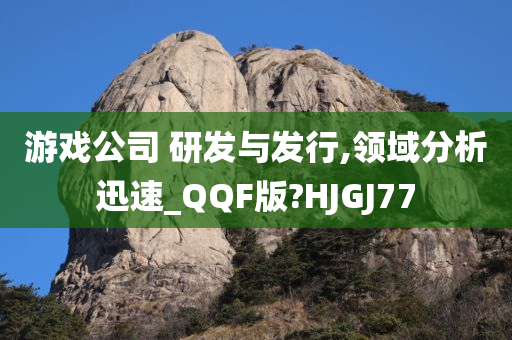 游戏公司 研发与发行,领域分析迅速_QQF版?HJGJ77