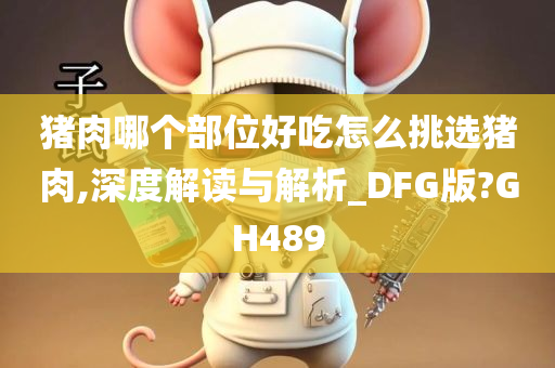 猪肉哪个部位好吃怎么挑选猪肉,深度解读与解析_DFG版?GH489