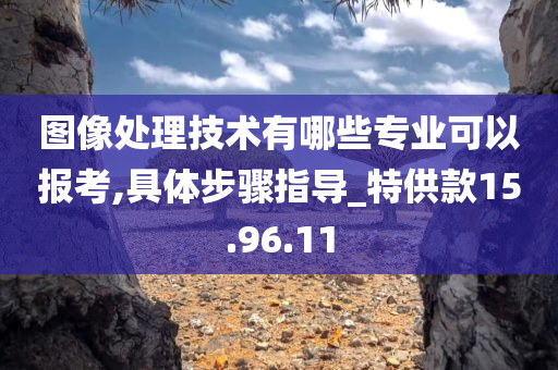 图像处理技术有哪些专业可以报考,具体步骤指导_特供款15.96.11