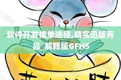 软件开发接单途径,精实迅版莠品_解释版GFH5