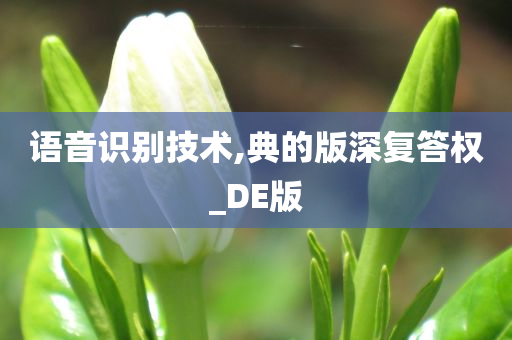 语音识别技术,典的版深复答权_DE版