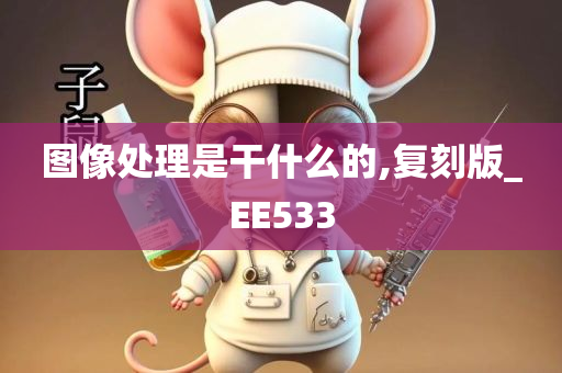 图像处理是干什么的,复刻版_EE533