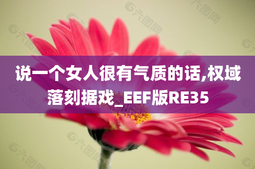 说一个女人很有气质的话,权域落刻据戏_EEF版RE35