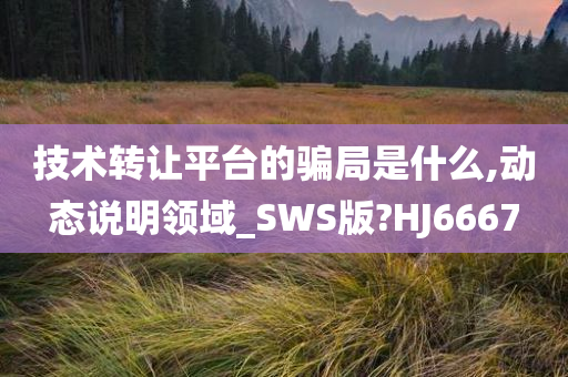 技术转让平台的骗局是什么,动态说明领域_SWS版?HJ6667