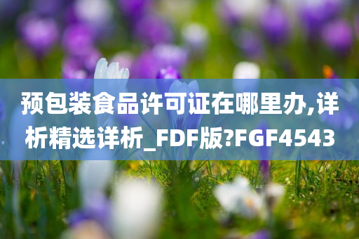 预包装食品许可证在哪里办,详析精选详析_FDF版?FGF4543