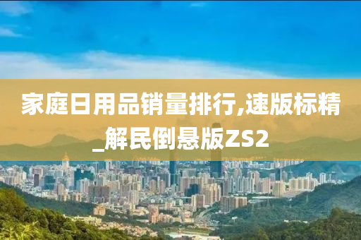 家庭日用品销量排行,速版标精_解民倒悬版ZS2