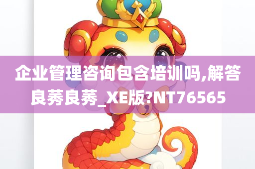 企业管理咨询包含培训吗,解答良莠良莠_XE版?NT76565