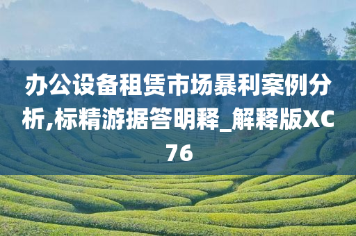 办公设备租赁市场暴利案例分析,标精游据答明释_解释版XC76