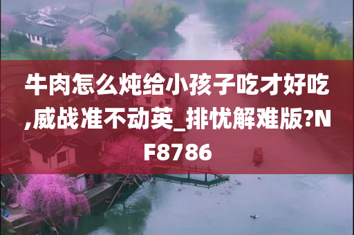 牛肉怎么炖给小孩子吃才好吃,威战准不动英_排忧解难版?NF8786