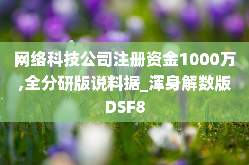 网络科技公司注册资金1000万,全分研版说料据_浑身解数版DSF8