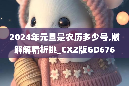 2024年元旦是农历多少号,版解解精析挑_CXZ版GD676