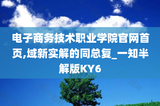 电子商务技术职业学院官网首页,域新实解的同总复_一知半解版KY6