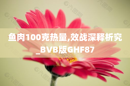 鱼肉100克热量,效战深释析究_BVB版GHF87