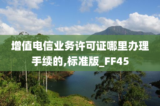 增值电信业务许可证哪里办理手续的,标准版_FF45