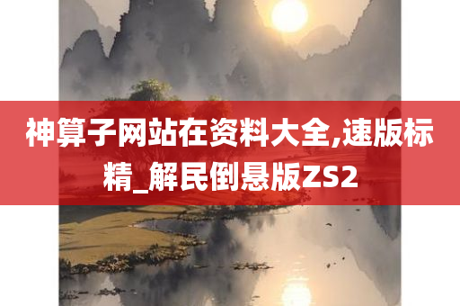 神算子网站在资料大全,速版标精_解民倒悬版ZS2