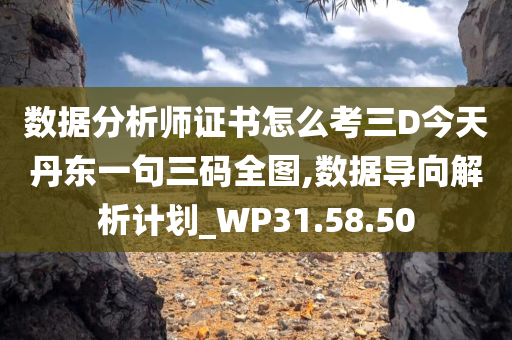 数据分析师证书怎么考三D今天丹东一句三码全图,数据导向解析计划_WP31.58.50