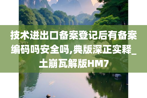 技术进出口备案登记后有备案编码吗安全吗,典版深正实释_土崩瓦解版HM7