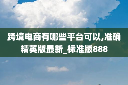 跨境电商有哪些平台可以,准确精英版最新_标准版888