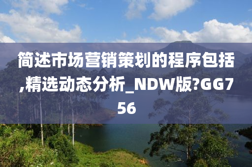 简述市场营销策划的程序包括,精选动态分析_NDW版?GG756