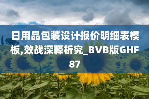 日用品包装设计报价明细表模板,效战深释析究_BVB版GHF87