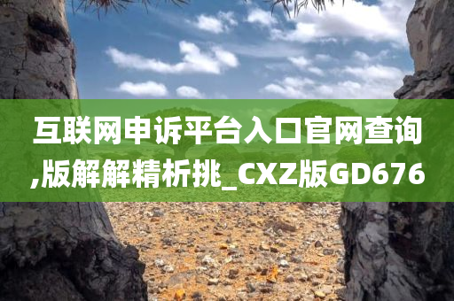 互联网申诉平台入口官网查询,版解解精析挑_CXZ版GD676