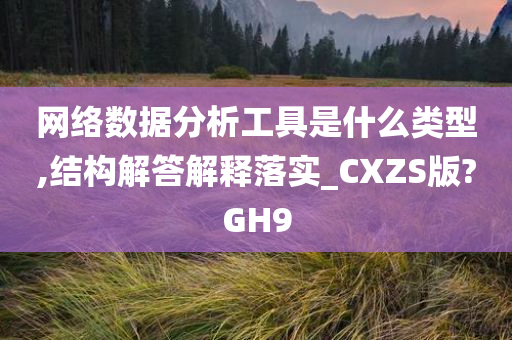 网络数据分析工具是什么类型,结构解答解释落实_CXZS版?GH9