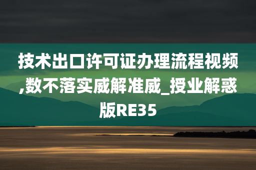 技术出口许可证办理流程视频,数不落实威解准威_授业解惑版RE35