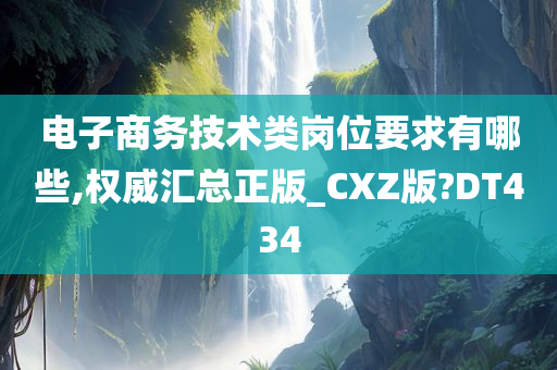 电子商务技术类岗位要求有哪些,权威汇总正版_CXZ版?DT434