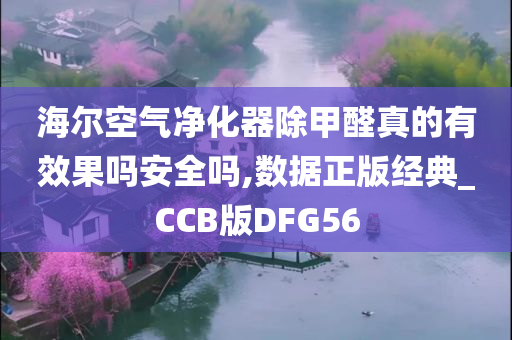 海尔空气净化器除甲醛真的有效果吗安全吗,数据正版经典_CCB版DFG56