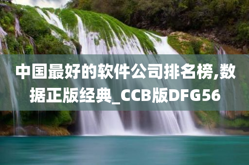 中国最好的软件公司排名榜,数据正版经典_CCB版DFG56