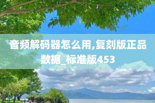 音频解码器怎么用,复刻版正品数据_标准版453