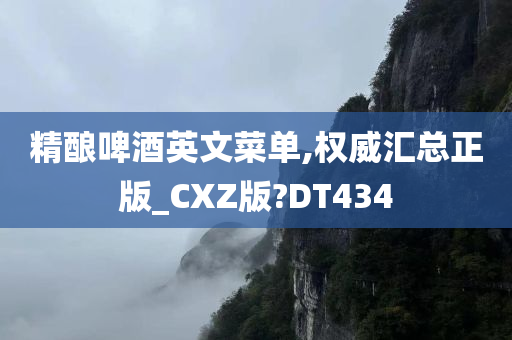 精酿啤酒英文菜单,权威汇总正版_CXZ版?DT434