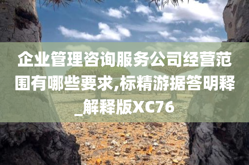 企业管理咨询服务公司经营范围有哪些要求,标精游据答明释_解释版XC76