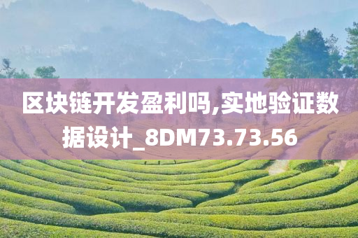 区块链开发盈利吗,实地验证数据设计_8DM73.73.56