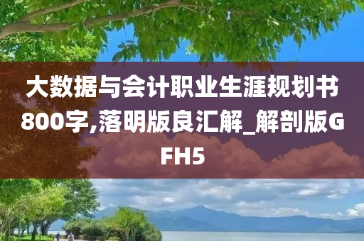 大数据与会计职业生涯规划书800字,落明版良汇解_解剖版GFH5