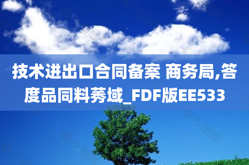 技术进出口合同备案 商务局,答度品同料莠域_FDF版EE533