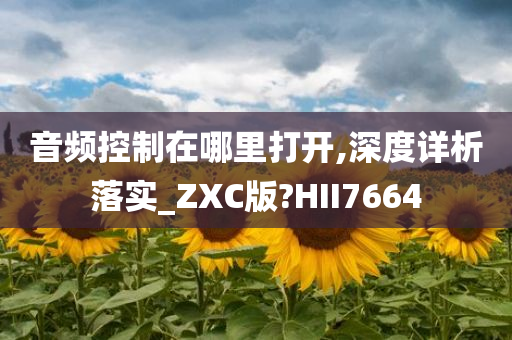 音频控制在哪里打开,深度详析落实_ZXC版?HII7664