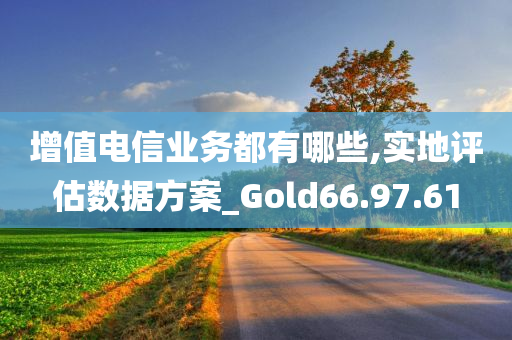 增值电信业务都有哪些,实地评估数据方案_Gold66.97.61