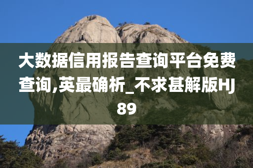 大数据信用报告查询平台免费查询,英最确析_不求甚解版HJ89