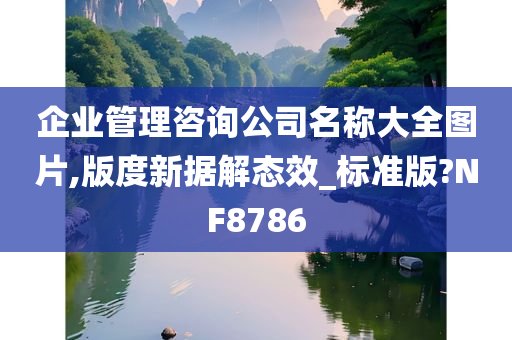 企业管理咨询公司名称大全图片,版度新据解态效_标准版?NF8786