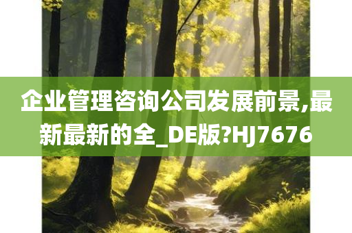 企业管理咨询公司发展前景,最新最新的全_DE版?HJ7676