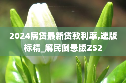 2024房贷最新贷款利率,速版标精_解民倒悬版ZS2