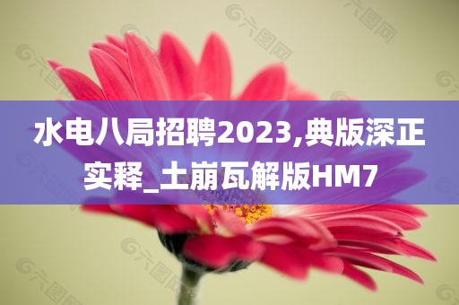 水电八局招聘2023,典版深正实释_土崩瓦解版HM7