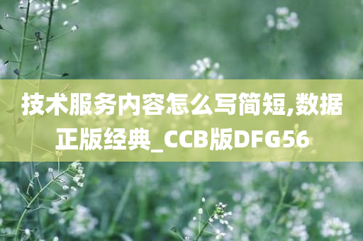 技术服务内容怎么写简短,数据正版经典_CCB版DFG56